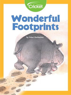 cover image of Wonderful Footprints